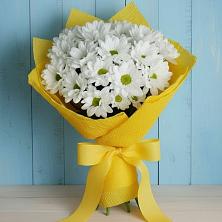 Букет цветов из:  Хризантемы в Хабезе