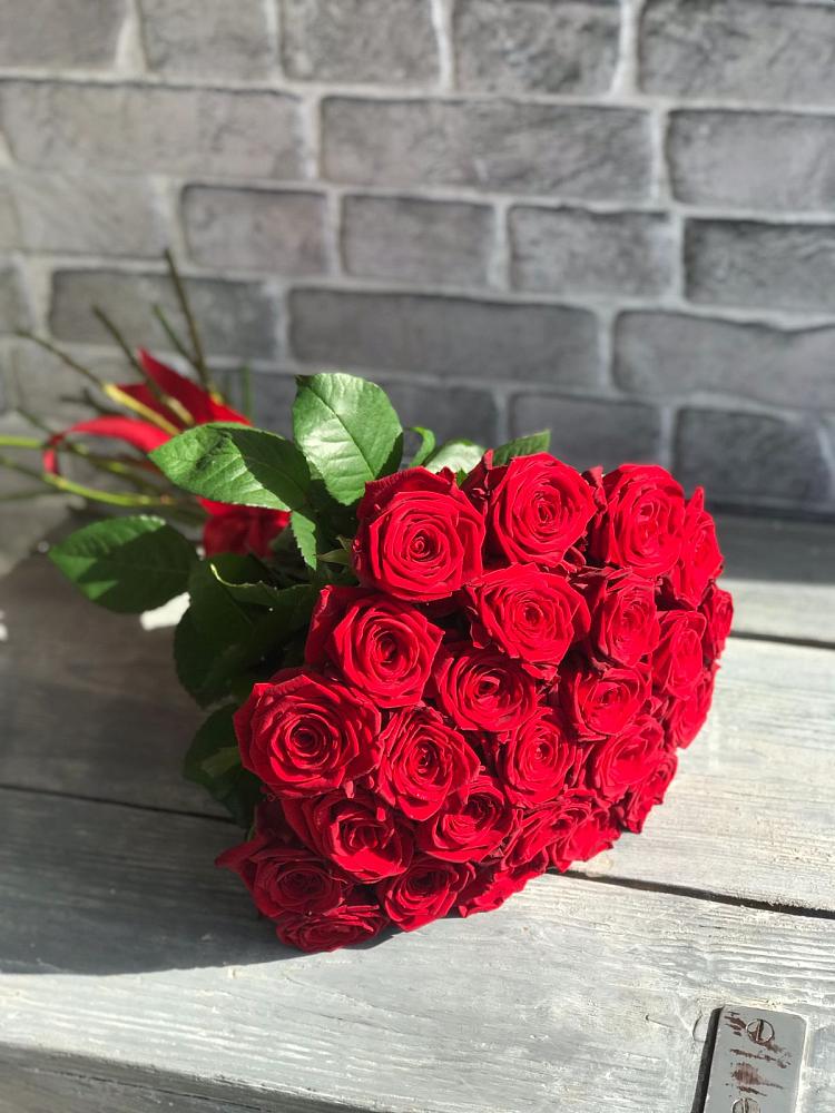 Букет Красные розы Фридом в Хабезе