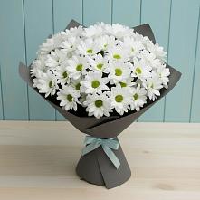 Букет цветов из:  Хризантемы #REPLACE_PRED# Хабезе