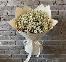 Букет цветов из:  Ромашки в Хабезе
