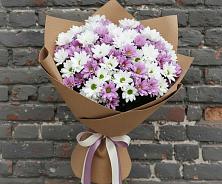 Букет цветов из:  Хризантемы #REPLACE_PRED# Хабезе