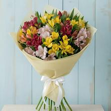 Букет цветов из:  Альстромерии в Хабезе