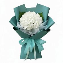 Букет цветов из:  Гортензия в Хабезе